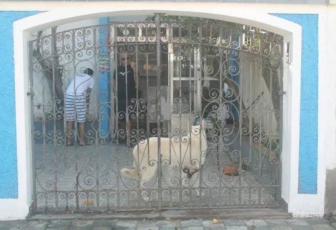 Seu nabuco