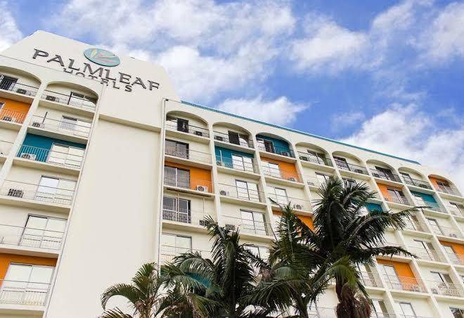 Palmleaf grand premium