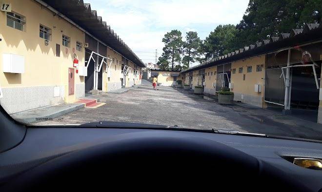 Real park motel