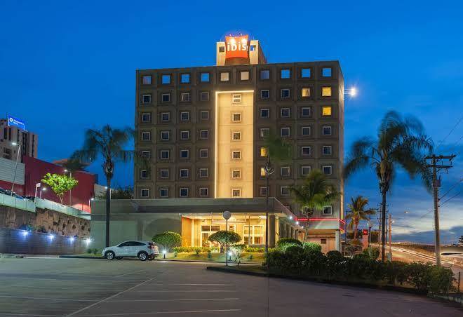 Ibis sorocaba