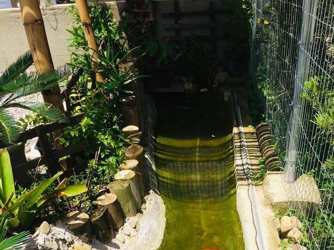 Jardim do mar chale
