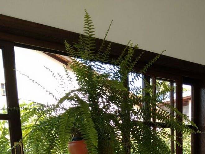 Pousada ubatuba itagua