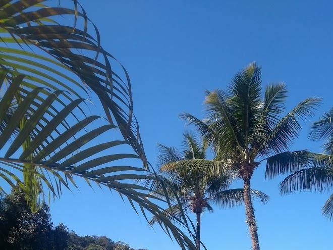 Pousada ubatuba paradise