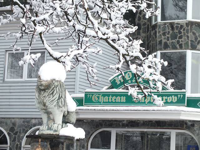 Chateau vaptzarov hotel