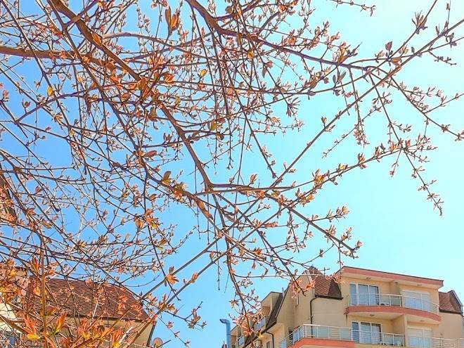 Family Hotel & Restaurant Sofia Image