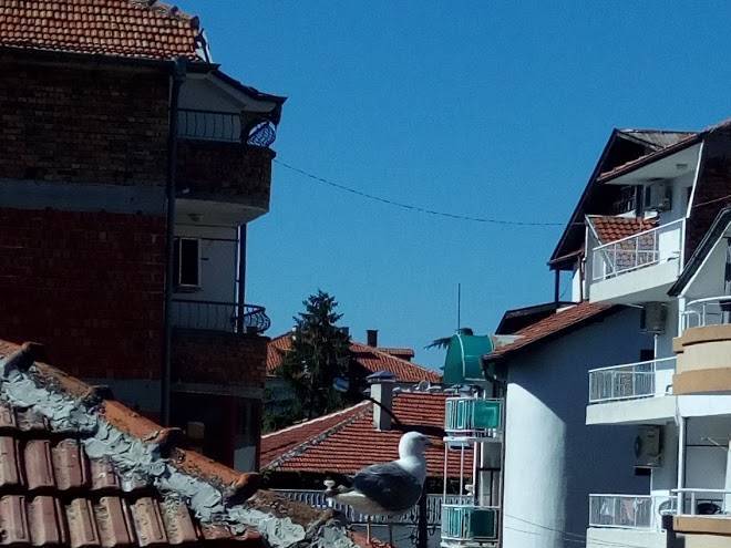 Hotel katerini