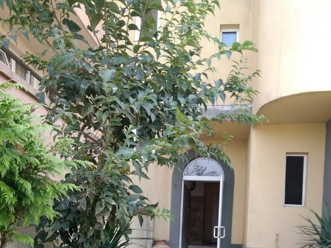 Hotel diana