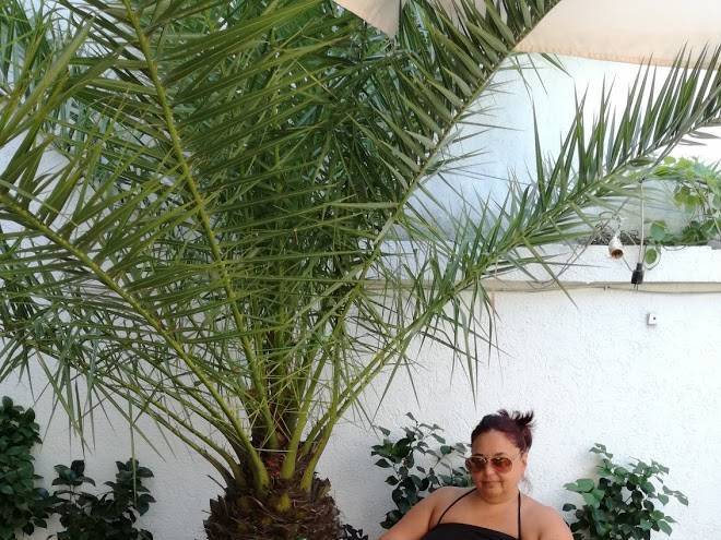 Hotel pemir