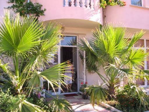 The Little Lady Image