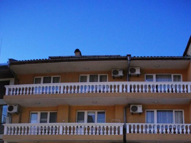 Family hotel alfa vita