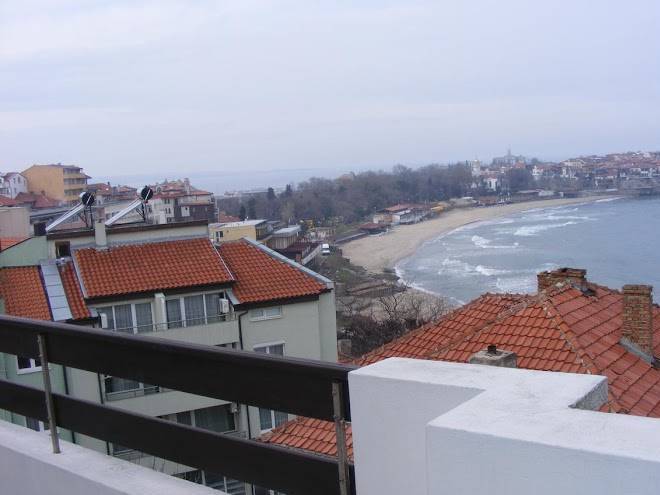 Rakovina 91