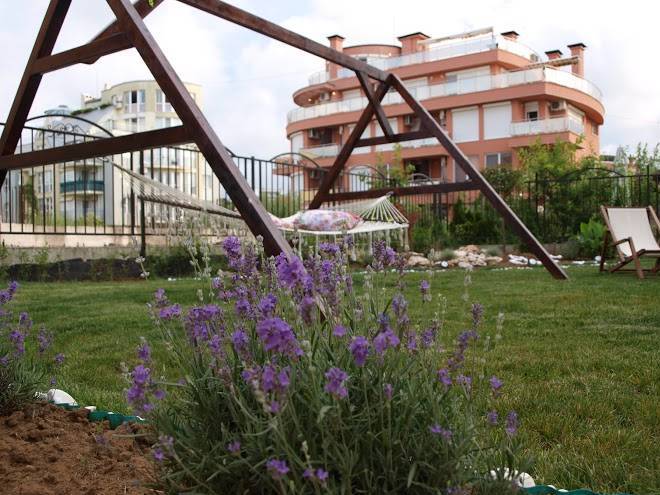 Hotel dion