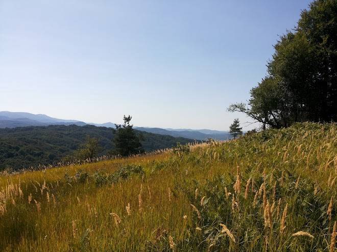 Complex galenci triavna