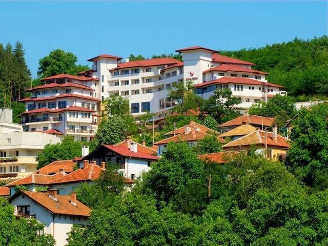 Hotel kalina palace