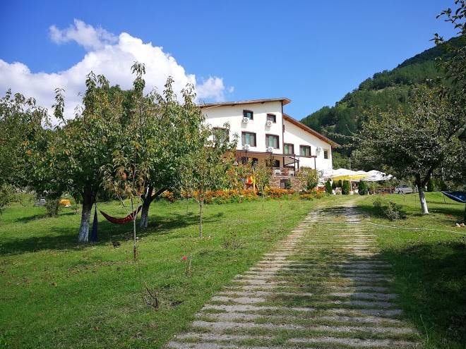 Hut borovitsa