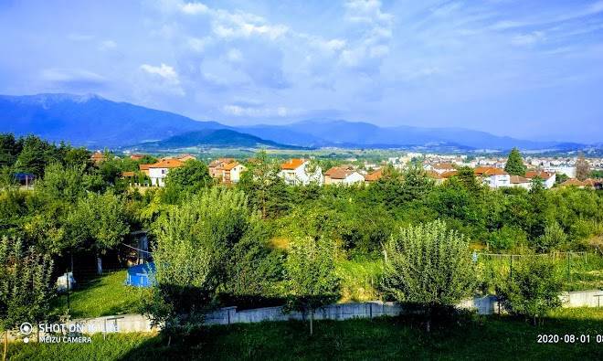 Guest view