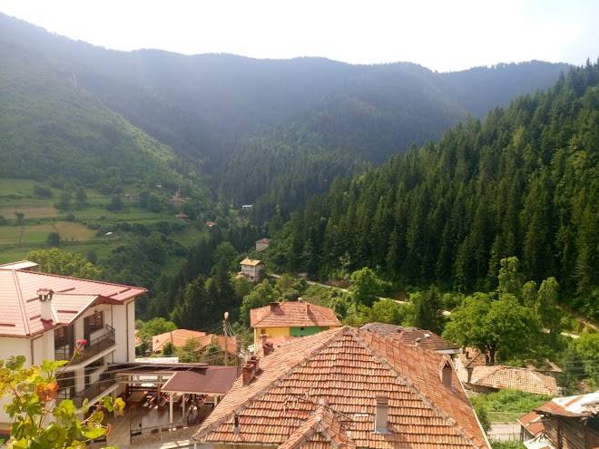 Family Hotel Venci Image