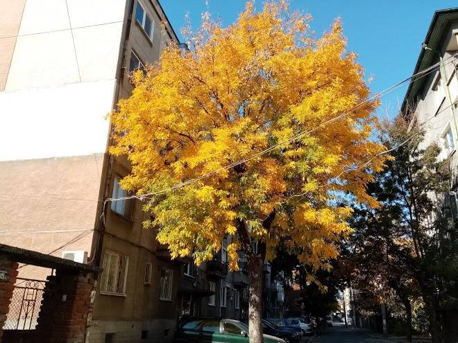 Hotel Afrodita Image