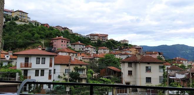 Hotel detelina