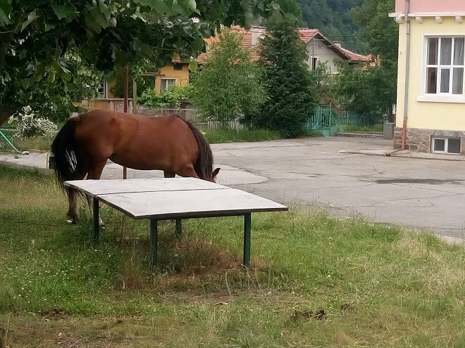 Raduilski han