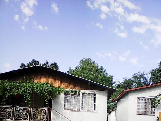 Yan bibiyan