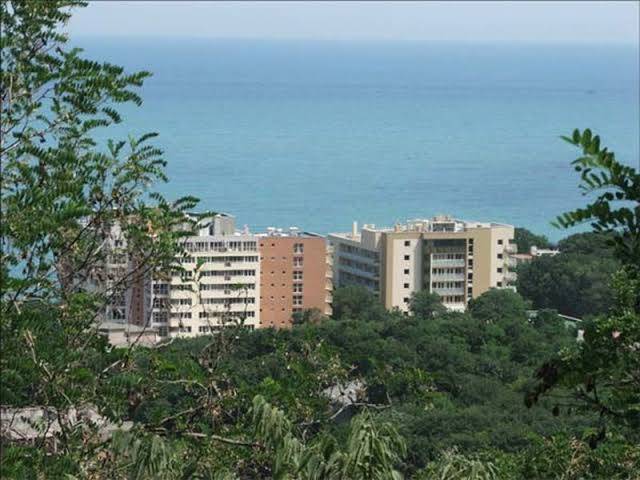 Park hotel nikea