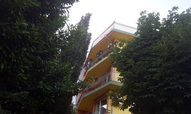 Hotel jambo