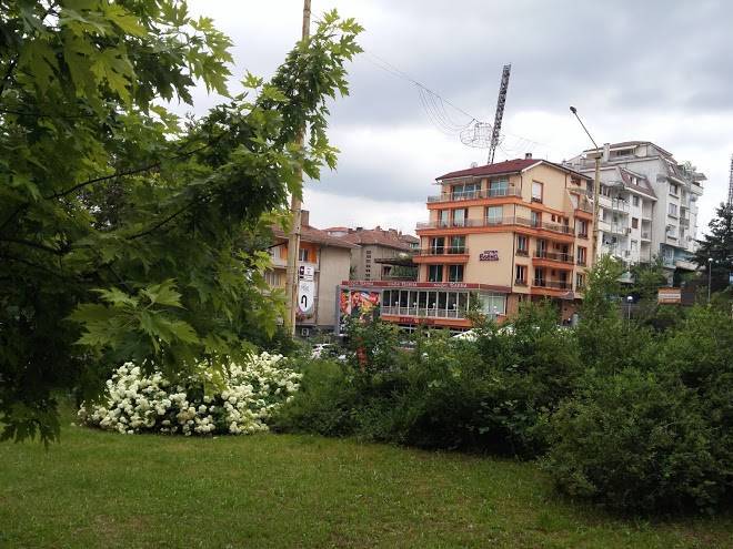 Hotel elena
