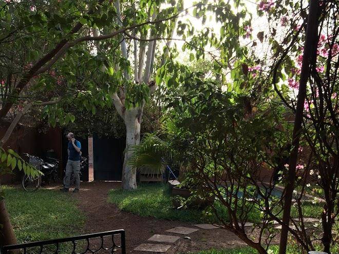 Chez sego