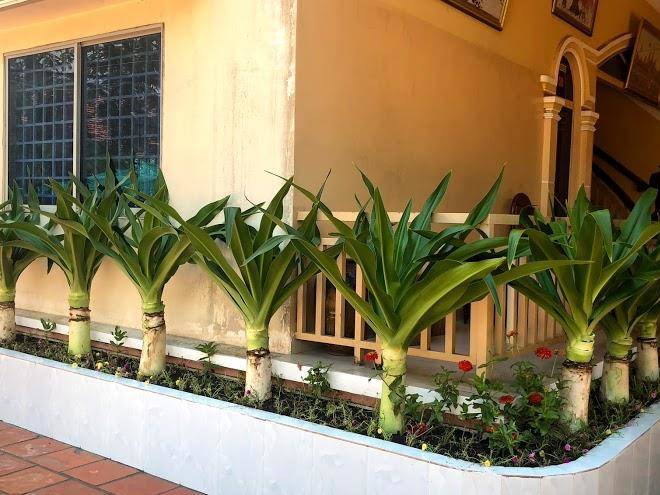 Chanthea borint hotel