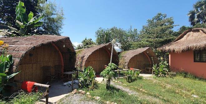The easy panda kampot