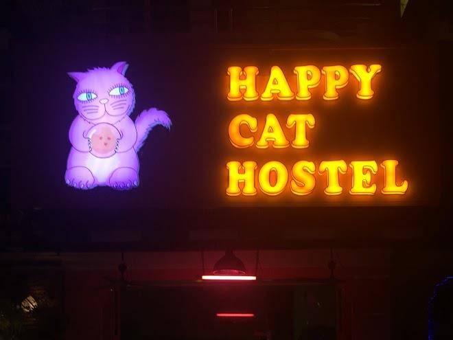 Happy cat