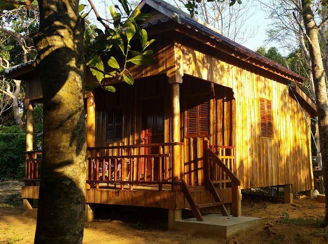 Easy tiger bungalows