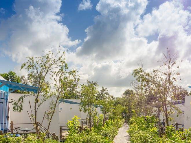 Sara resort