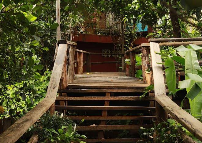 Tree top ecolodge
