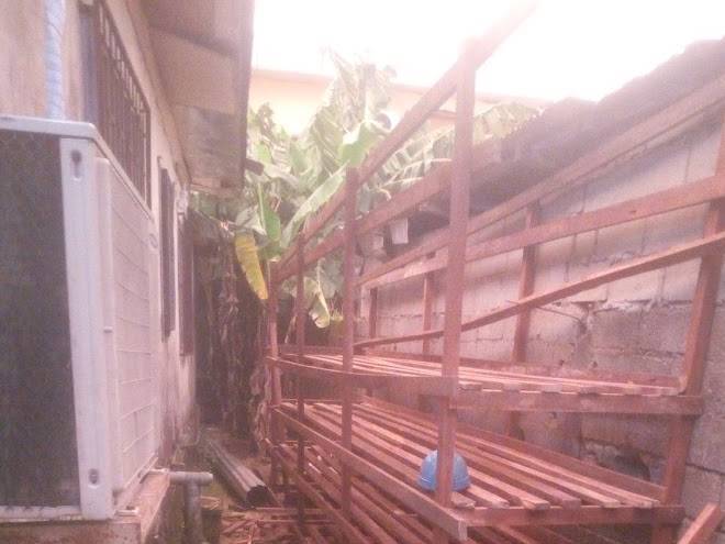 Hotel mont manengouba
