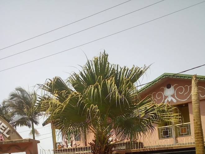 Dominion hotel