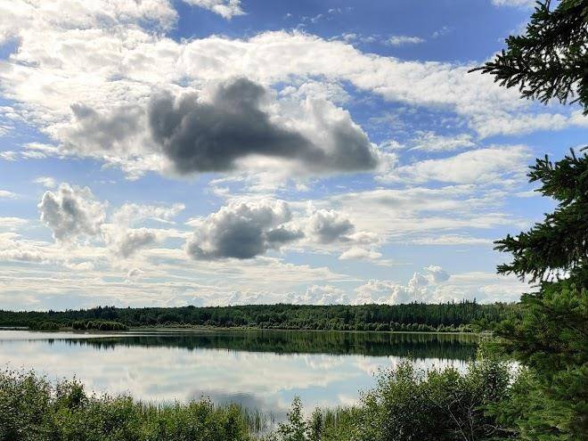 North buck lake provincial recreation area