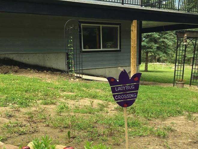 Allen acres b&b