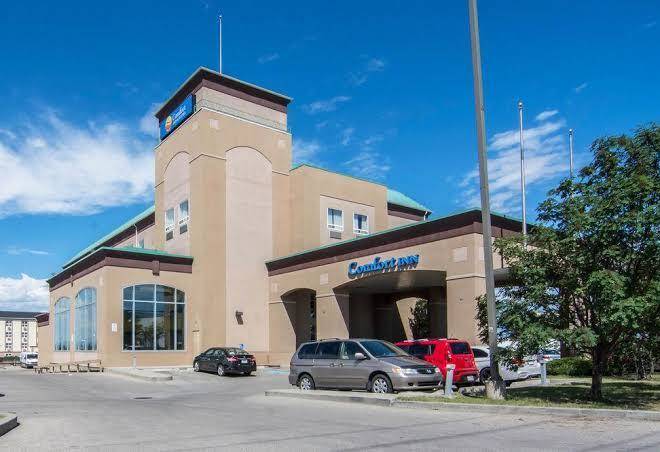 Comfort inn & suites airport south