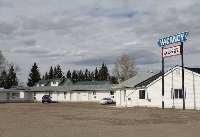 Bluebird motel