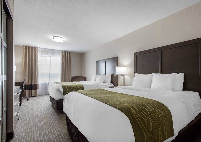 Comfort Inn & Suites Red Deer Image