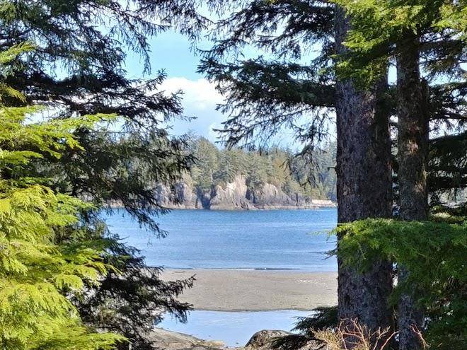 Arbutus guest suite