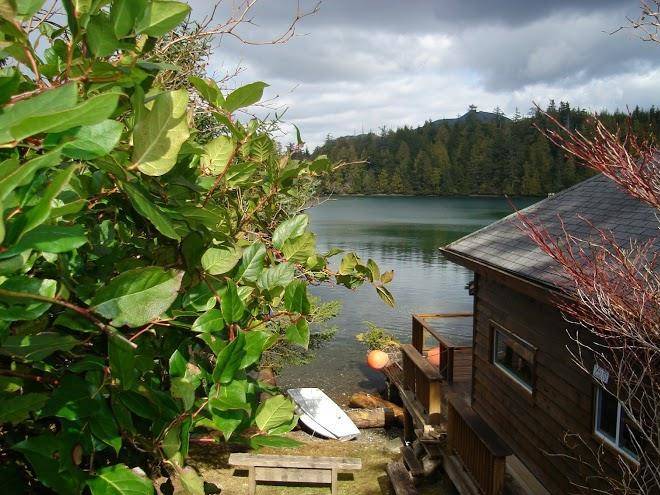 Birds bay retreat