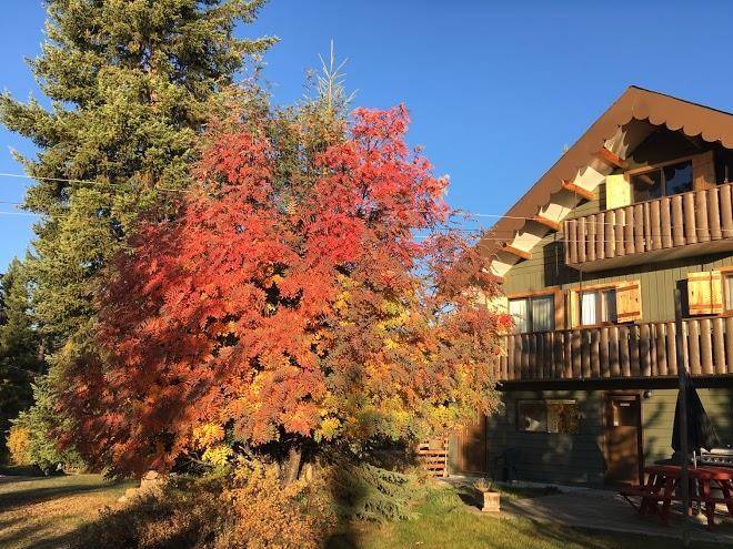 Ruth lake lodge resort