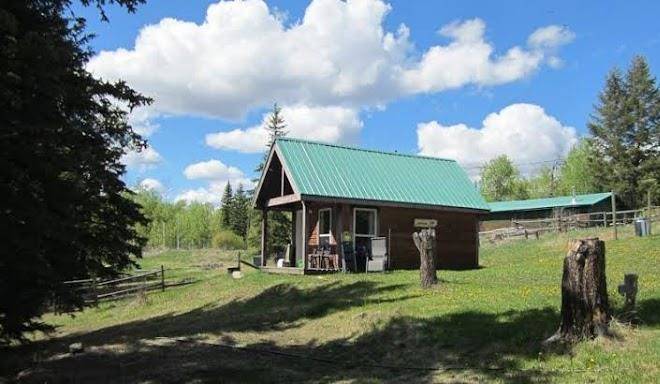 Tall timbers resort