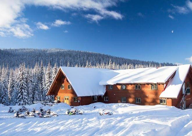Grizzly lodge