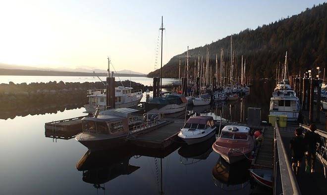 Ford's cove marina ltd