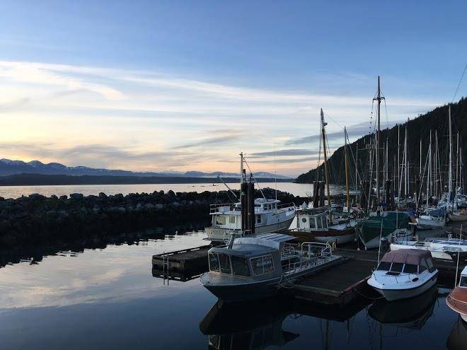 Hornby island diving