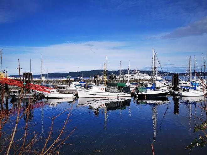 Osborne bay resort